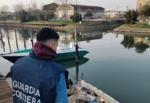 SEQUESTRATI RICCI DI MARE