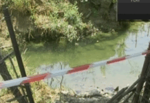 UN TAVOLO PER LA VALLE DEL SACCO